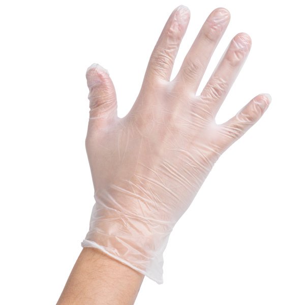 Disposable Vinyl Gloves, Powder-Free - 100 Pack
