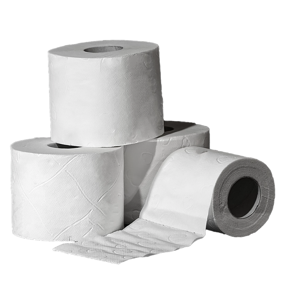 Toilet Paper - 2 Ply / 420 Sheet - 48 Rolls